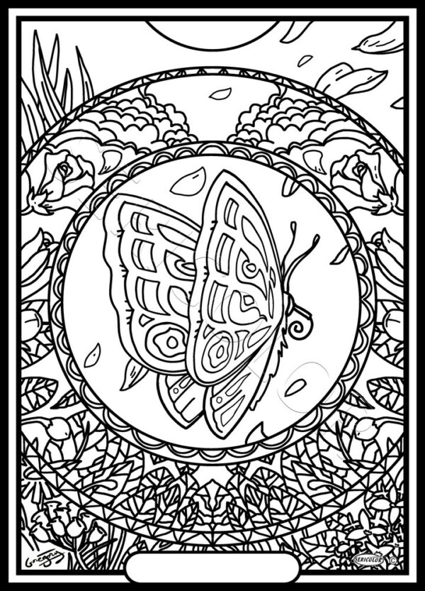 MANDALA PAPILLON
