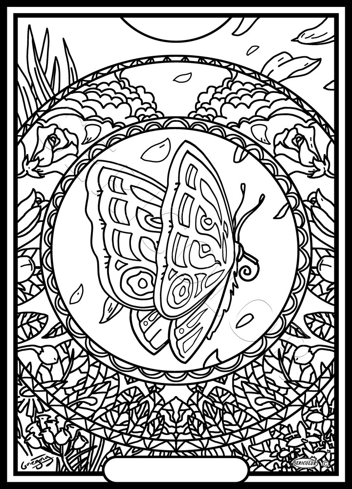 MANDALA PAPILLON – Image 2