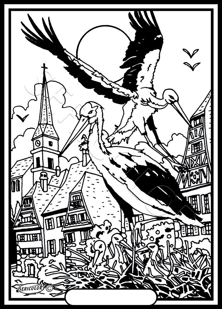 COUPLE CIGOGNE AVEC PETIT – Image 2