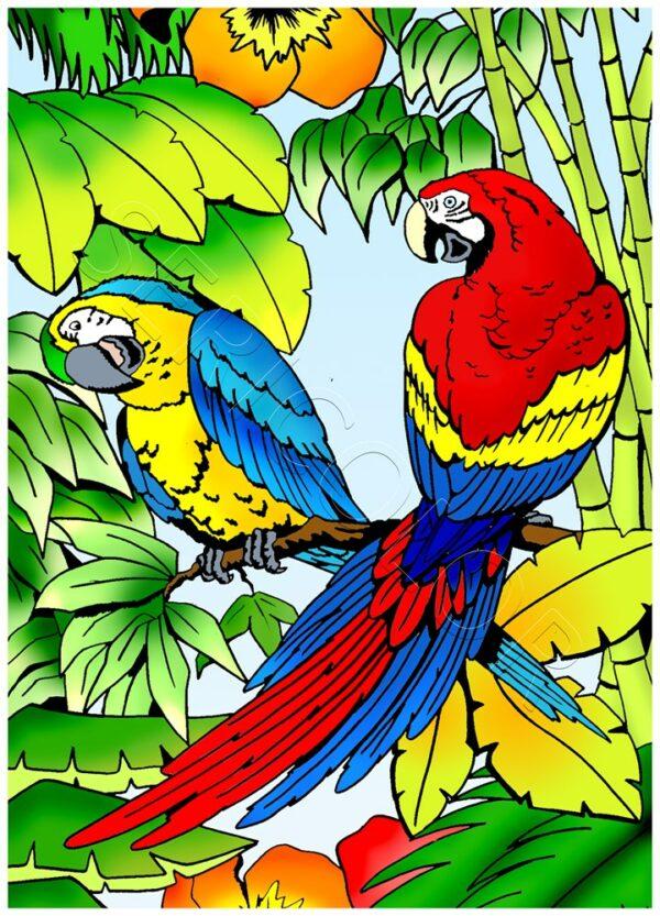 DEUX PERROQUETS