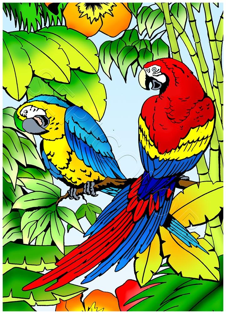 DEUX PERROQUETS – Image 3