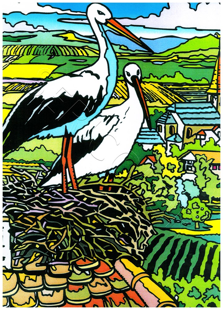 CIGOGNE NID SUR TOIT – Image 3