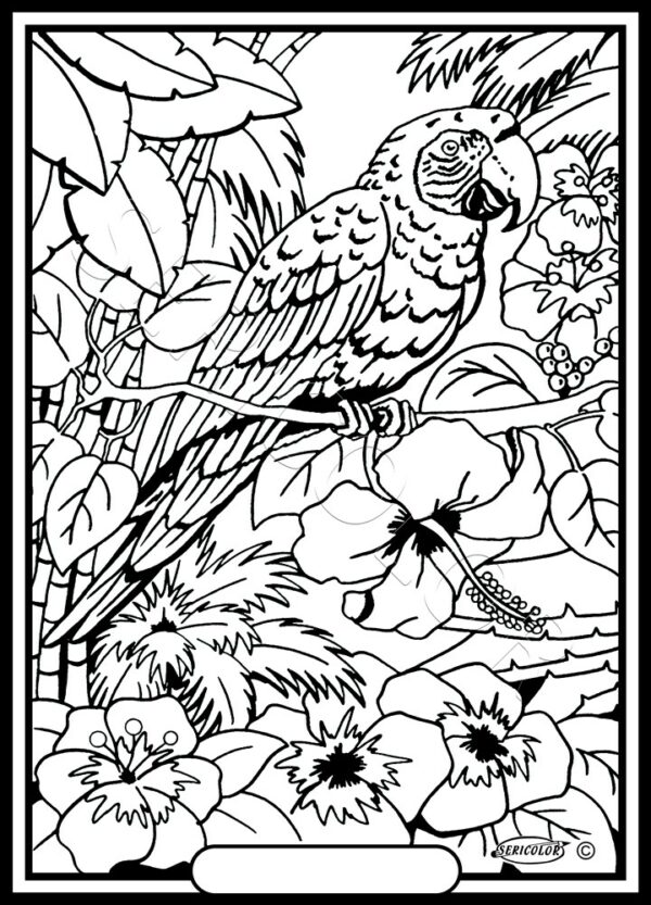 PERROQUET