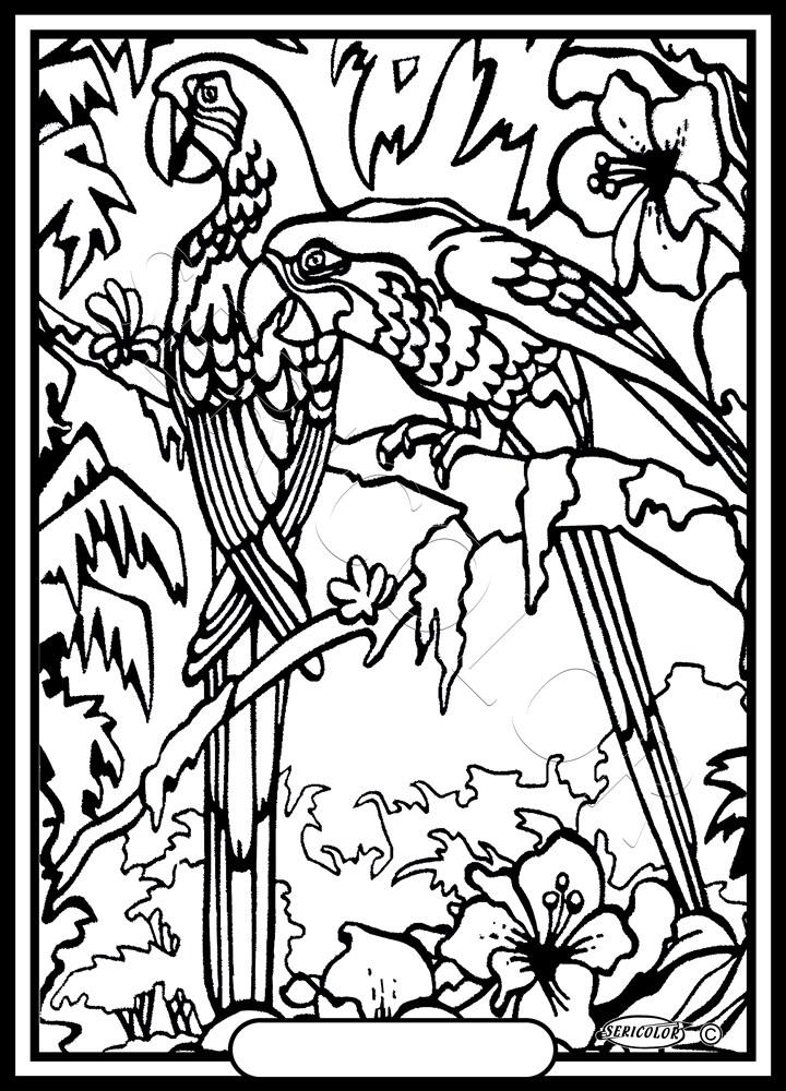 ARAS – Image 2