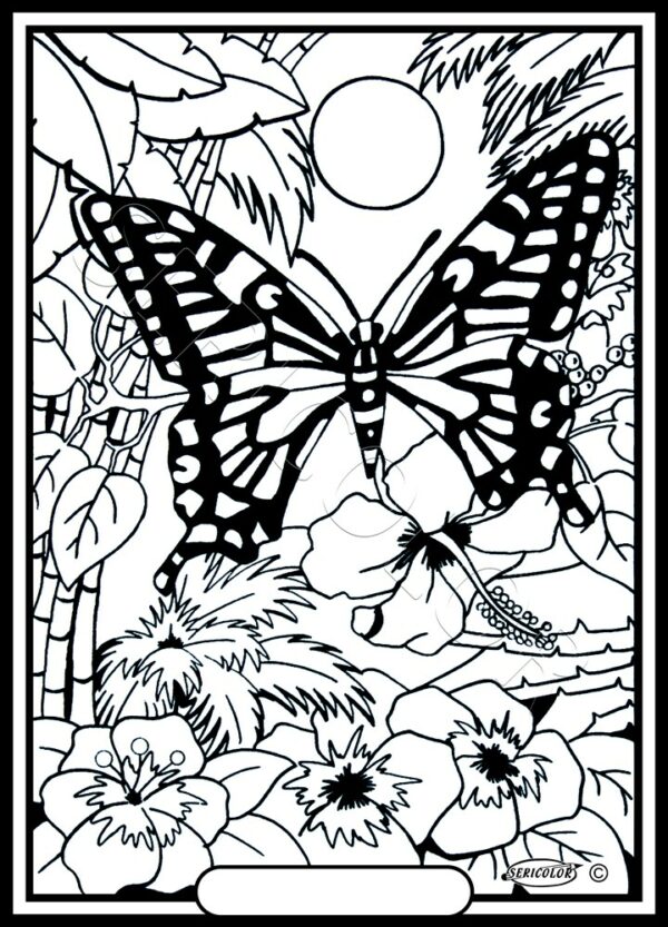 PAPILLON FLEUR