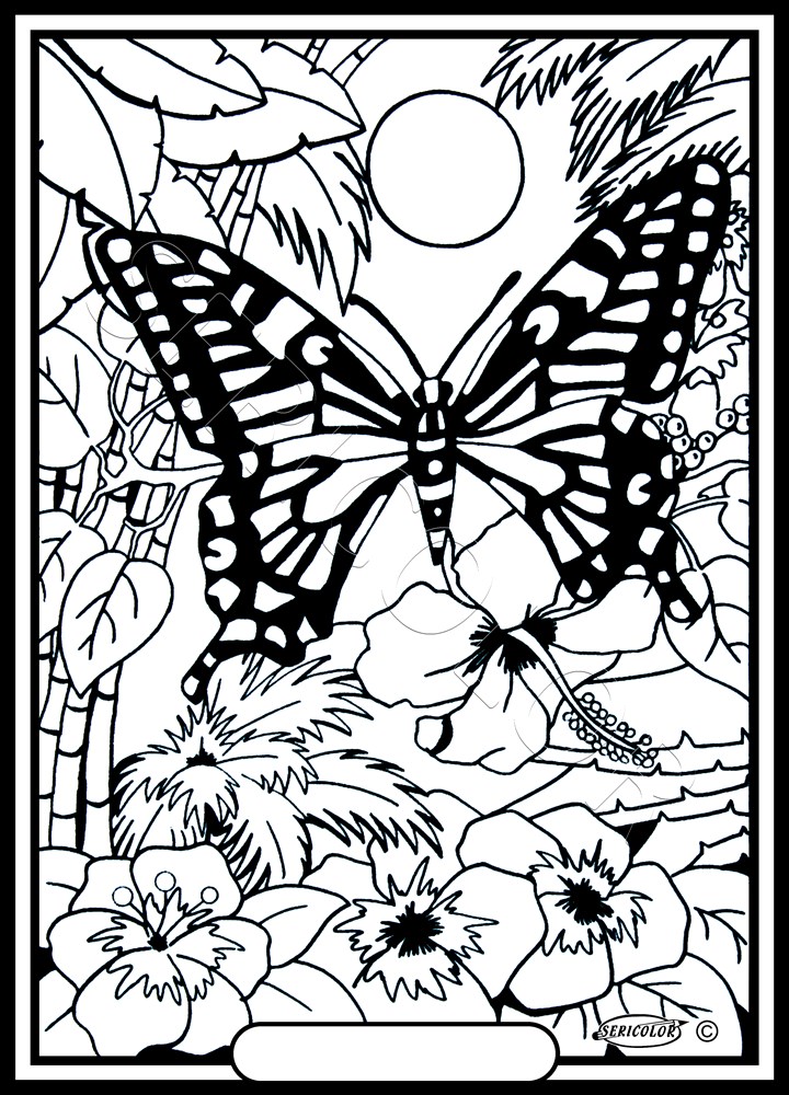 PAPILLON FLEUR – Image 2