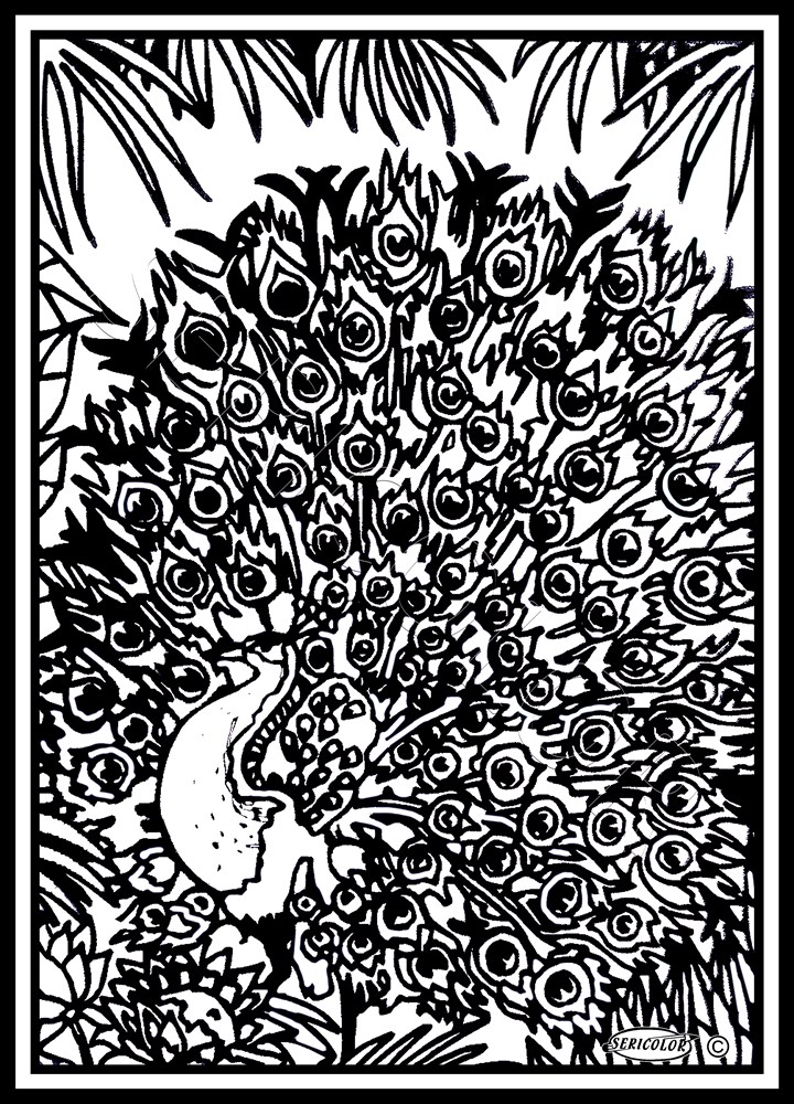 PAON – Image 2