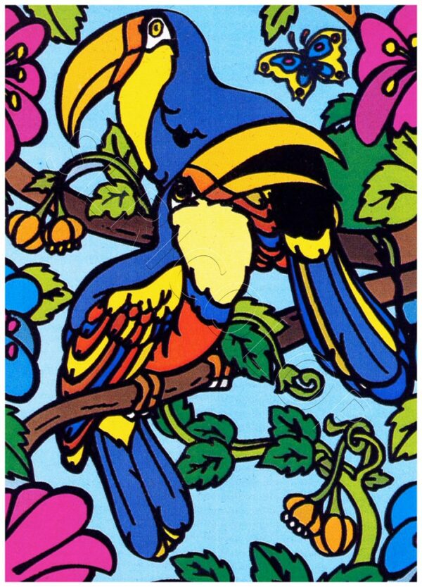TOUCAN