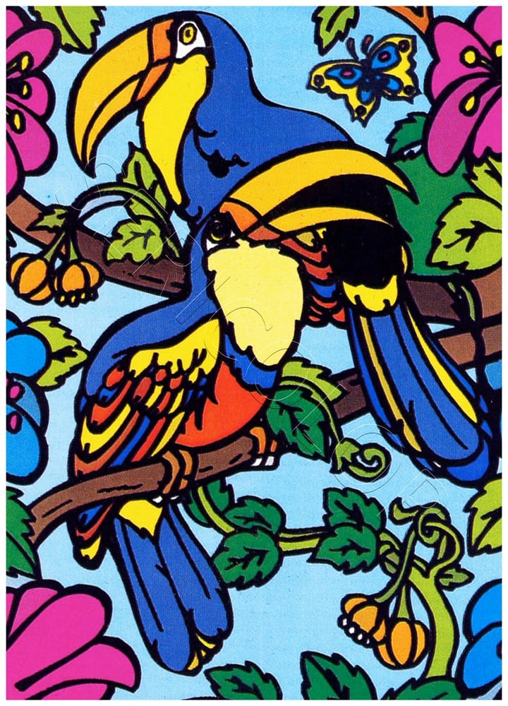 TOUCAN – Image 3