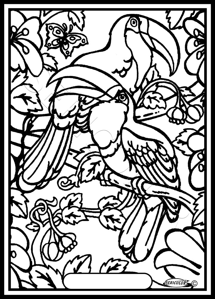 TOUCAN – Image 2