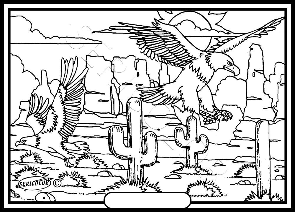 AIGLE – Image 2
