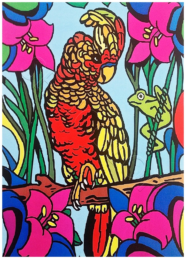 PERRUCHE – Image 3