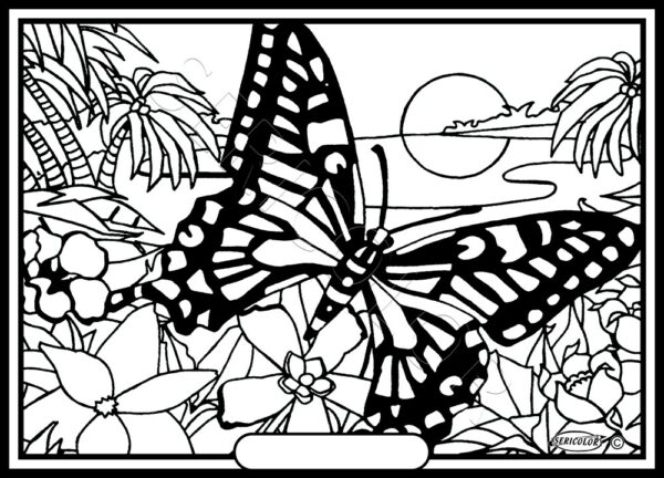 PAPILLON CRÉPUSCULE