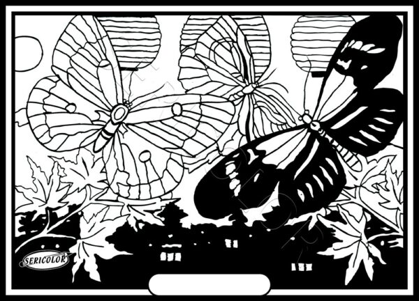 PAPILLON NUIT DE CHINE