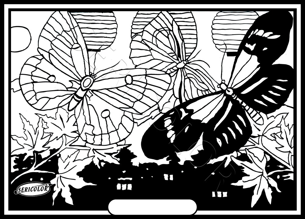 PAPILLON NUIT DE CHINE – Image 2