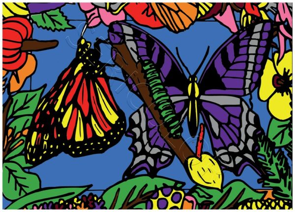 PAPILLONS MACHAONS