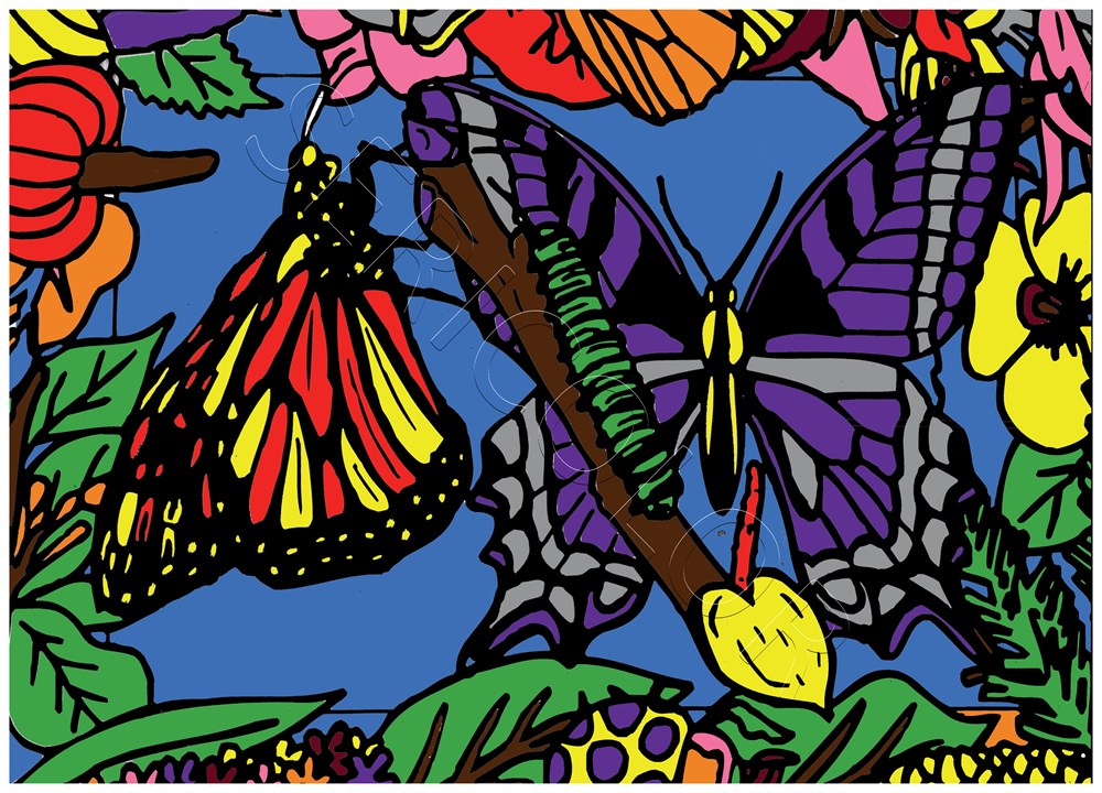 PAPILLONS MACHAONS – Image 3