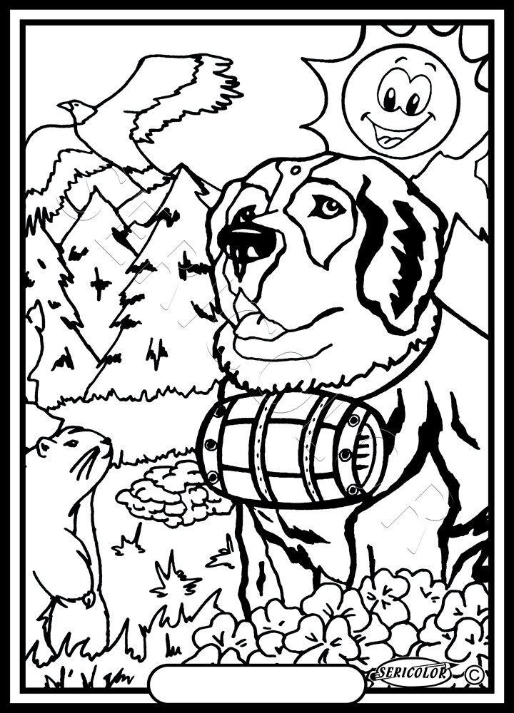 SAINT BERNARD SEUL – Image 2