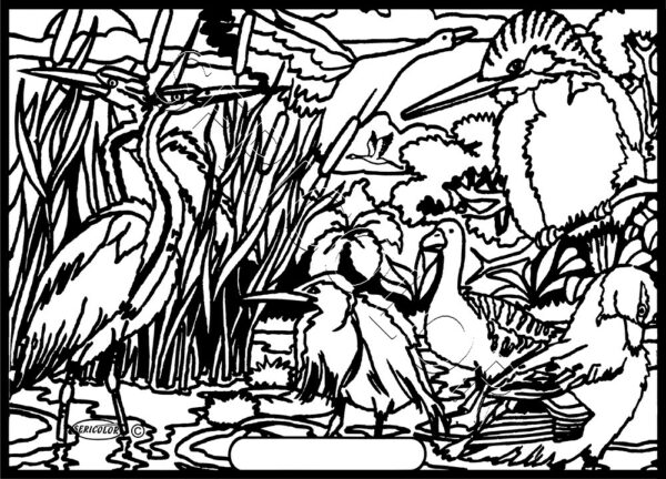 OISEAUX DES MARAIS