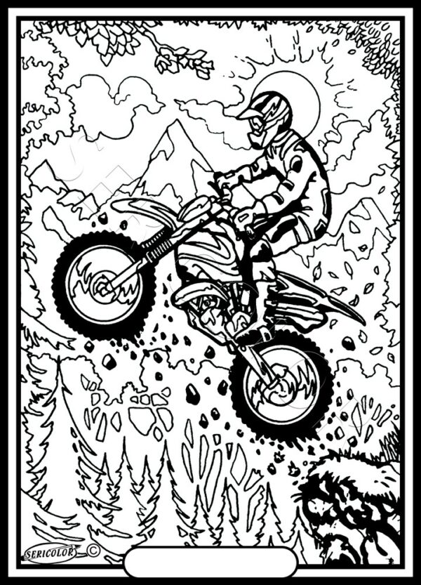 MOTO CROSS