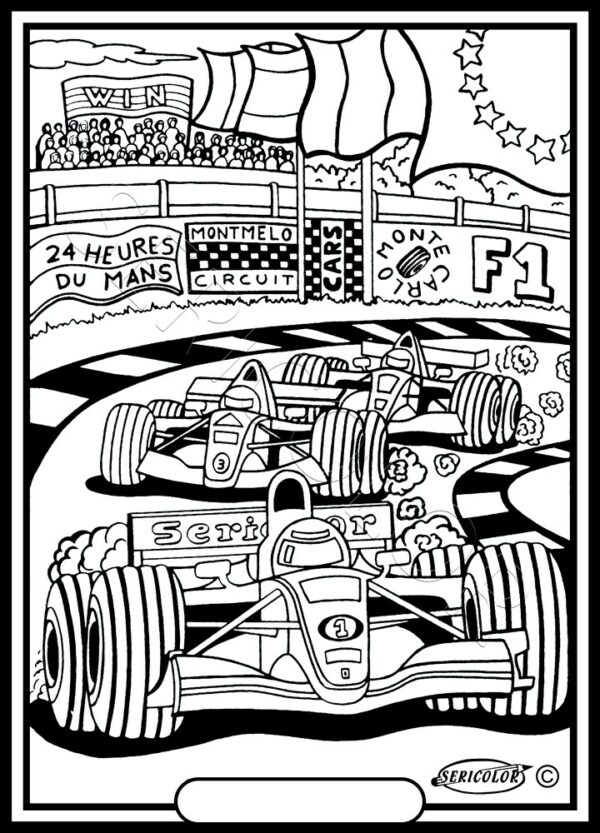 VOITURE F1
