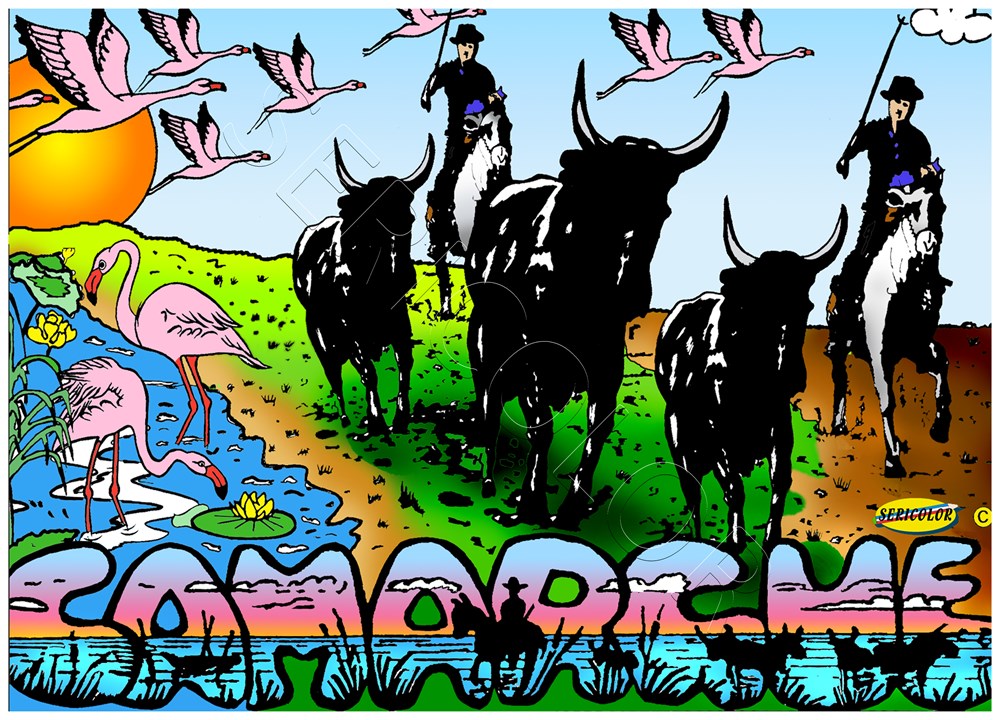 CAMARGUE – Image 3