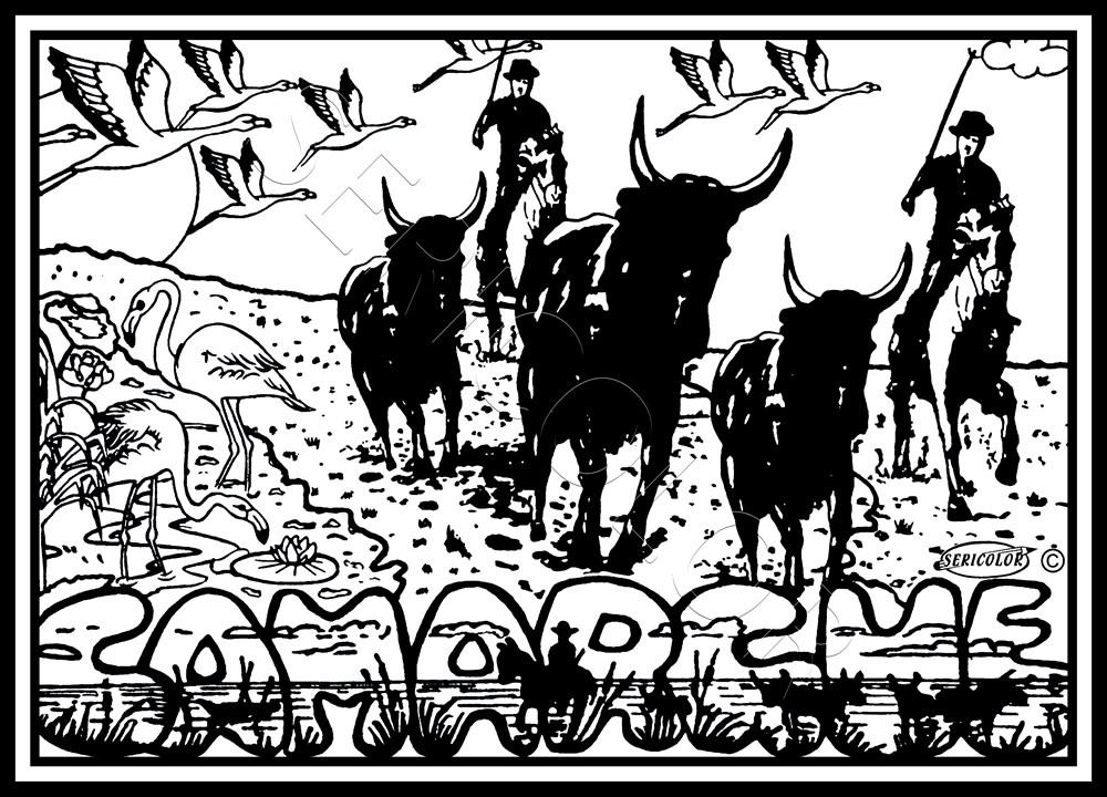 CAMARGUE – Image 2