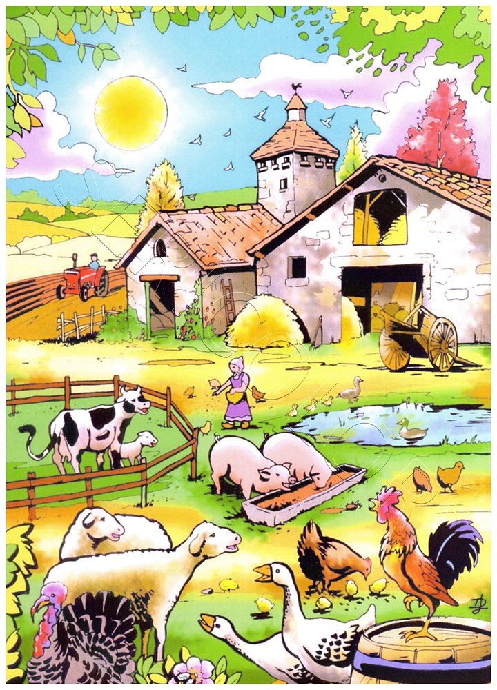 FERME – Image 3