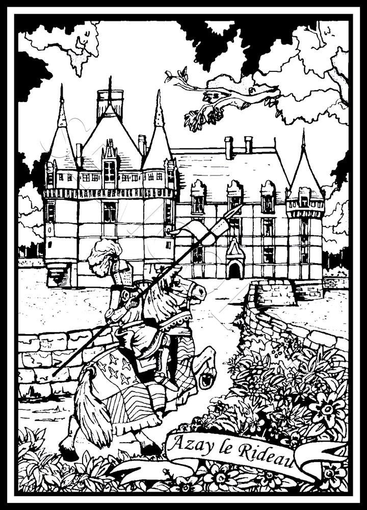 CHÂTEAU D AZAY LE RIDEAU – Image 1