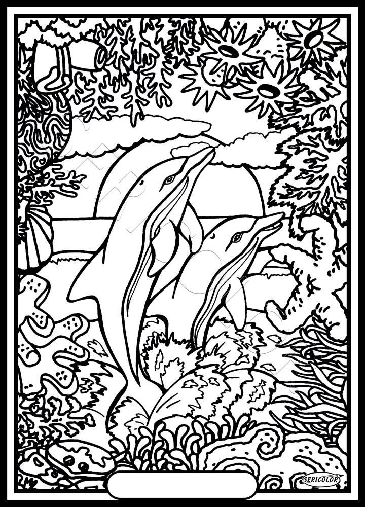 DAUPHIN LEADER – Image 2