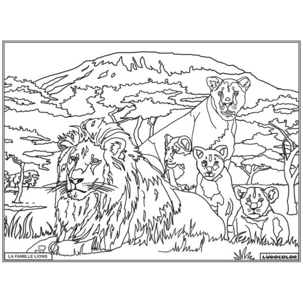 FAMILLE LION