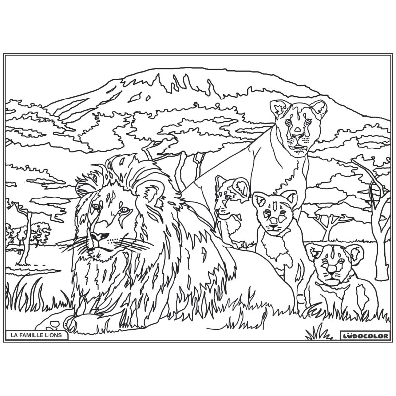 FAMILLE LION – Image 1