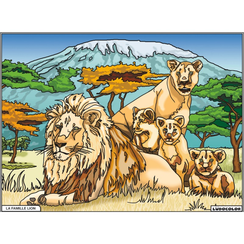 FAMILLE LION – Image 2