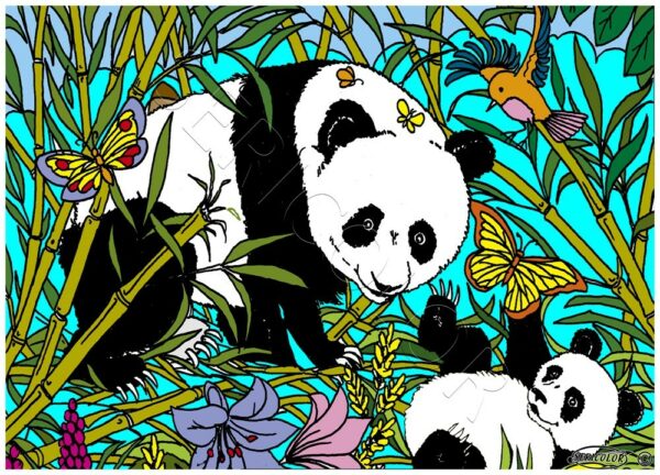 PANDA