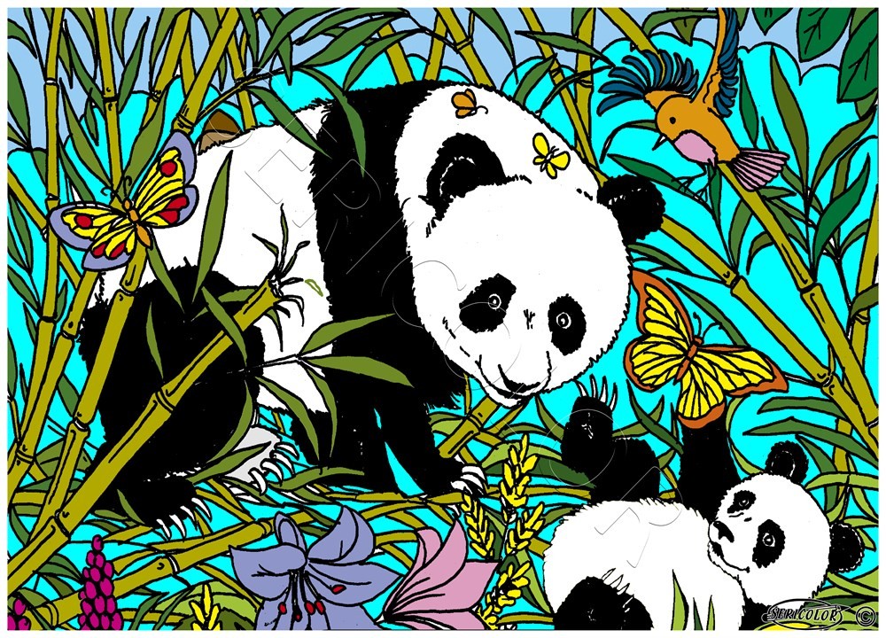 PANDA – Image 1