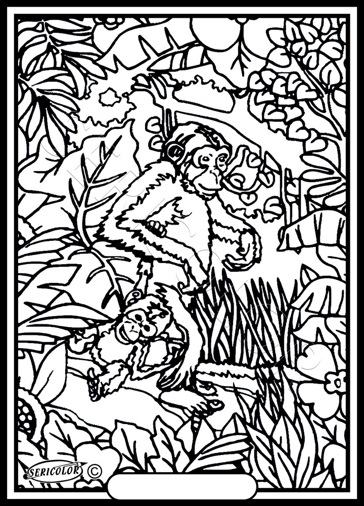 SINGES – Image 1
