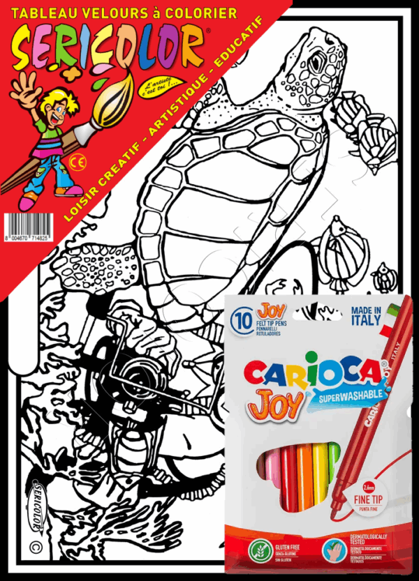PLONGEUR TORTUE