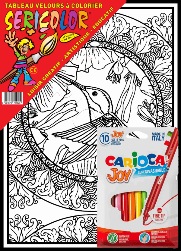 MANDALA COLIBRI