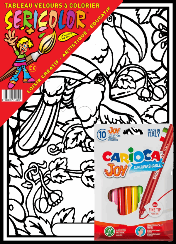 TOUCAN