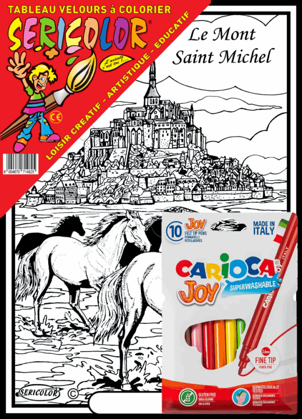 MONT SAINT MICHEL CHEVAUX