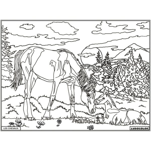 JUMENT ET POULAIN