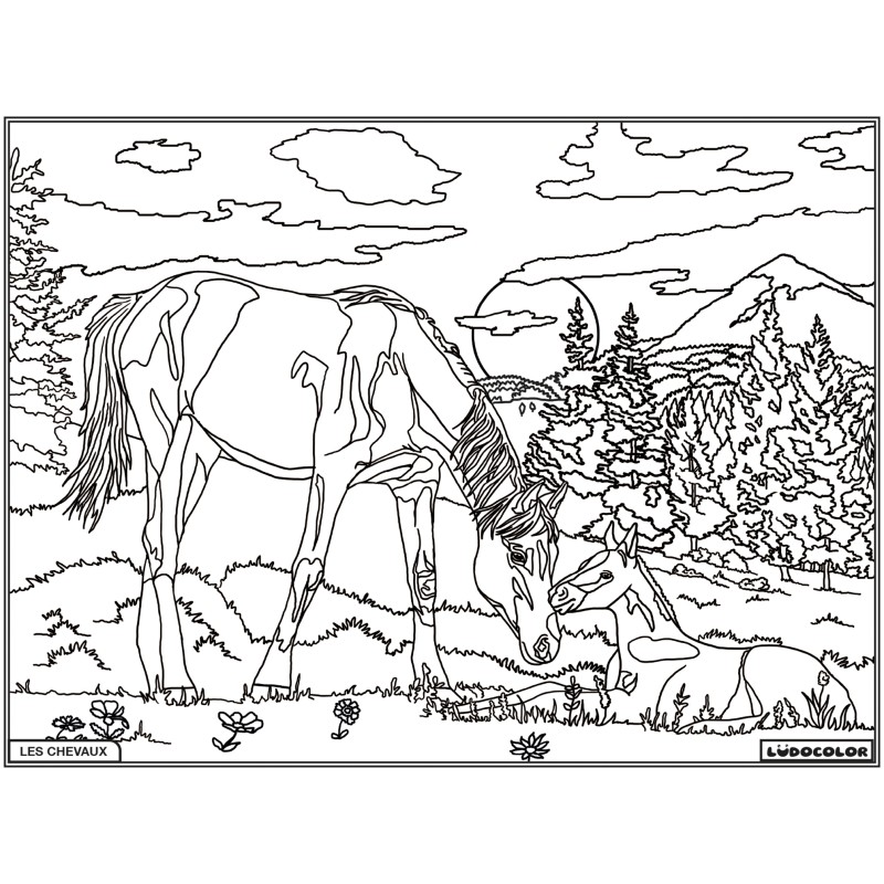JUMENT ET POULAIN – Image 1