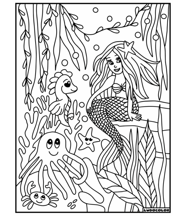 SIRENE