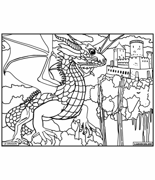 DRAGON