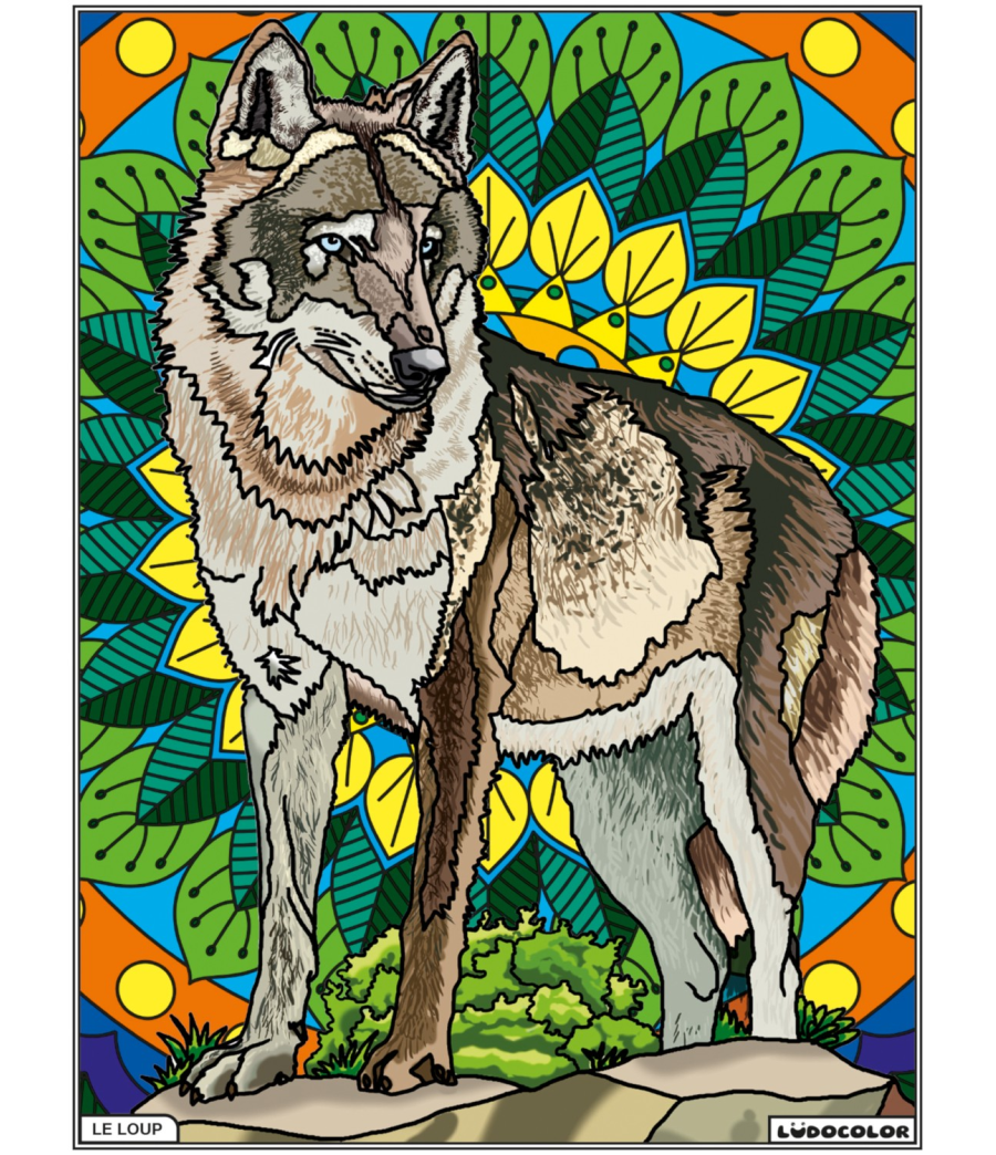 LOUP – Image 2