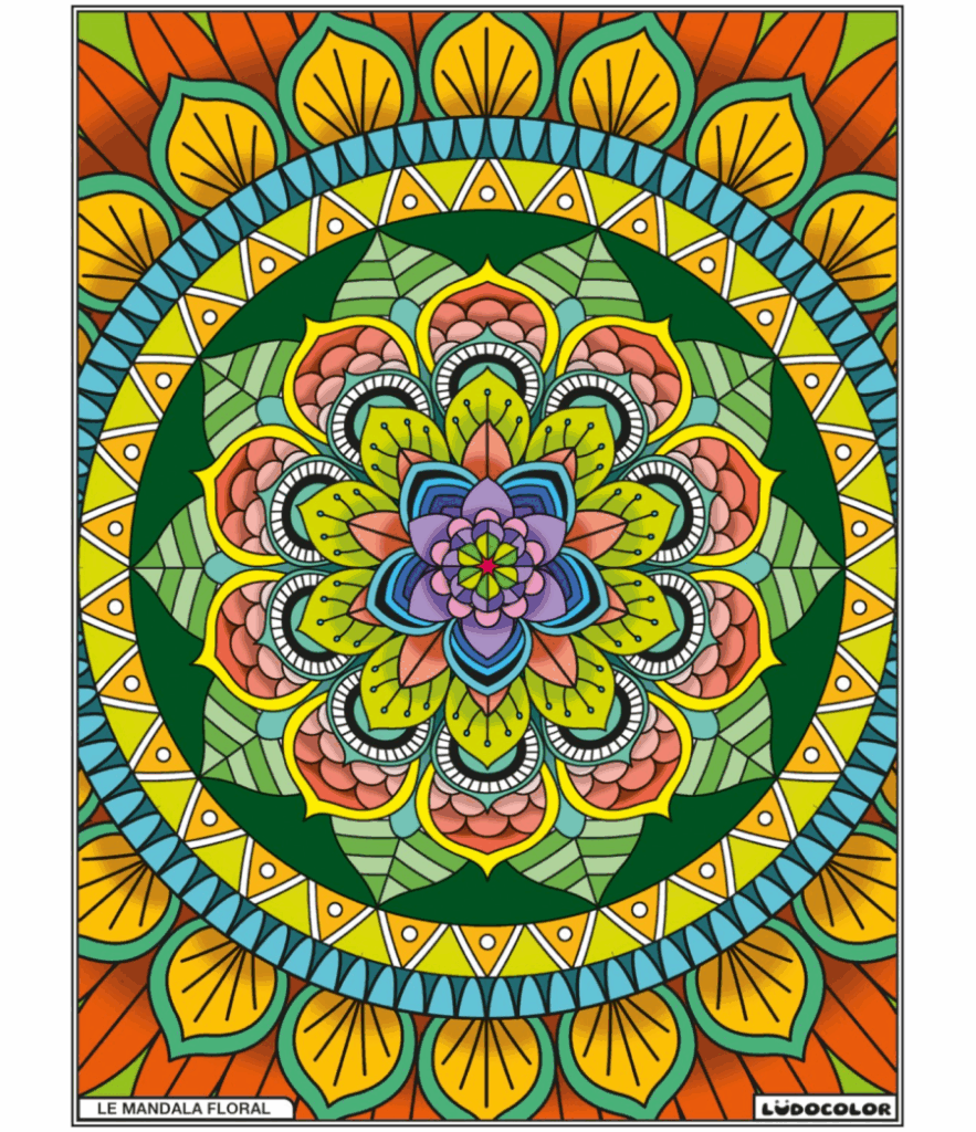 MANDA FLORAL