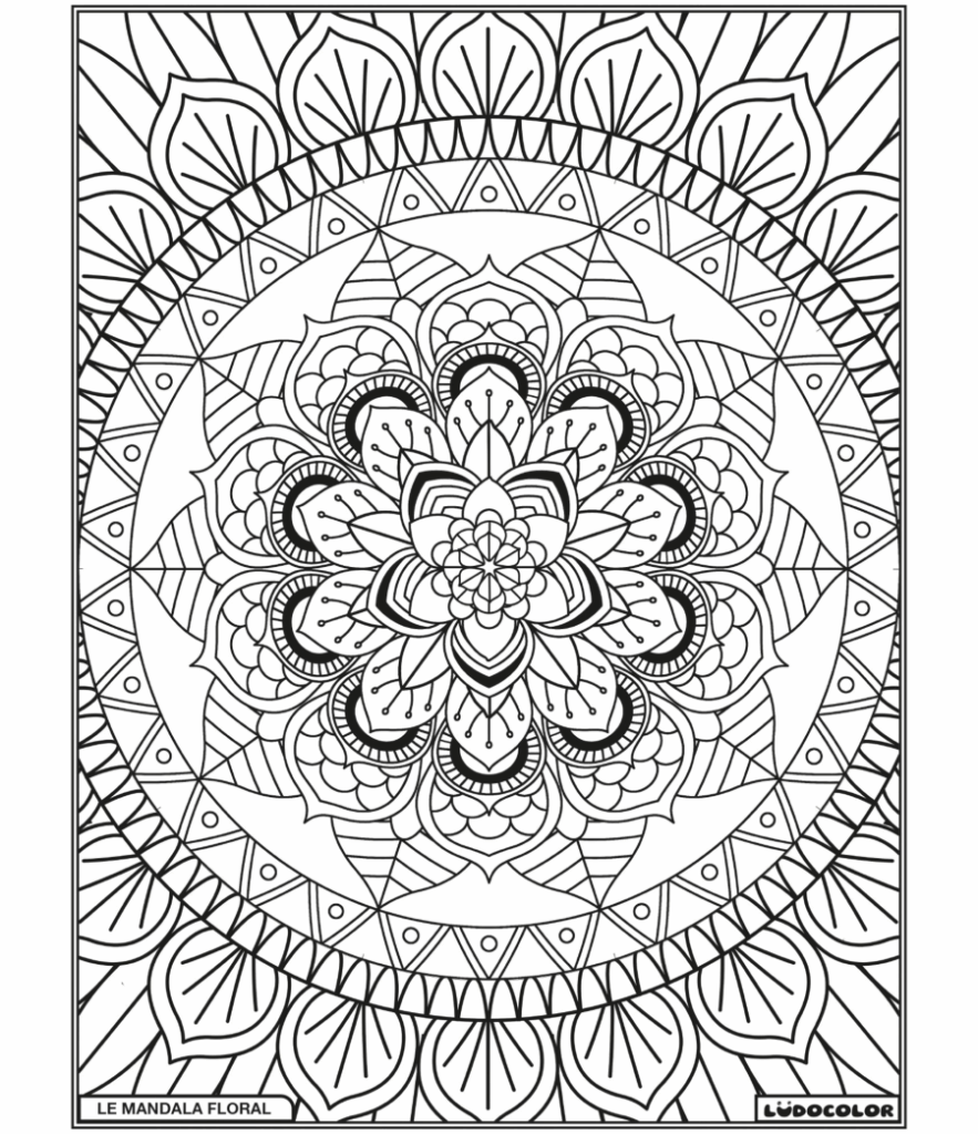 MANDA FLORAL