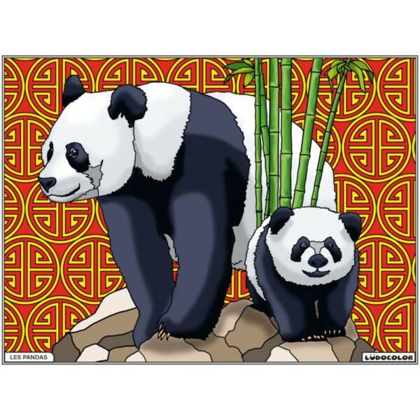 PANDAS