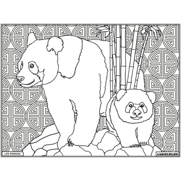PANDAS