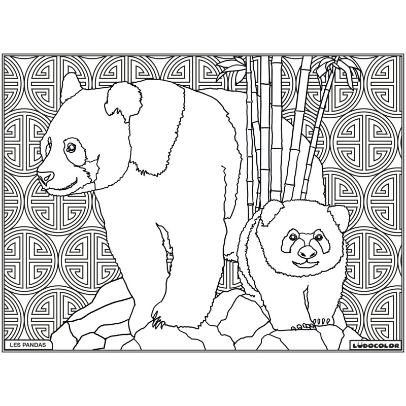 PANDAS – Image 1